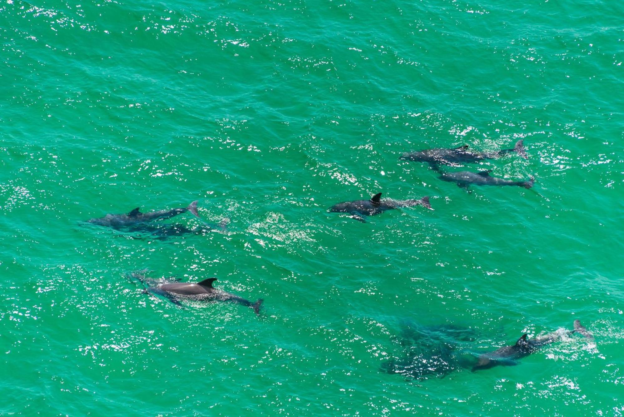 Aqua Resort 1705 Panama City Beach Buitenkant foto
